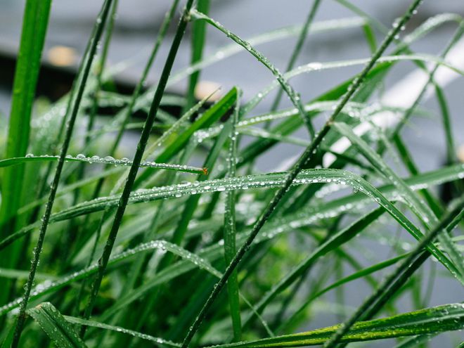 财运滚滚进账喜鹊报喜偏财临门过好日子z6尊龙·中国网站家有哪些生肖4月(图2)