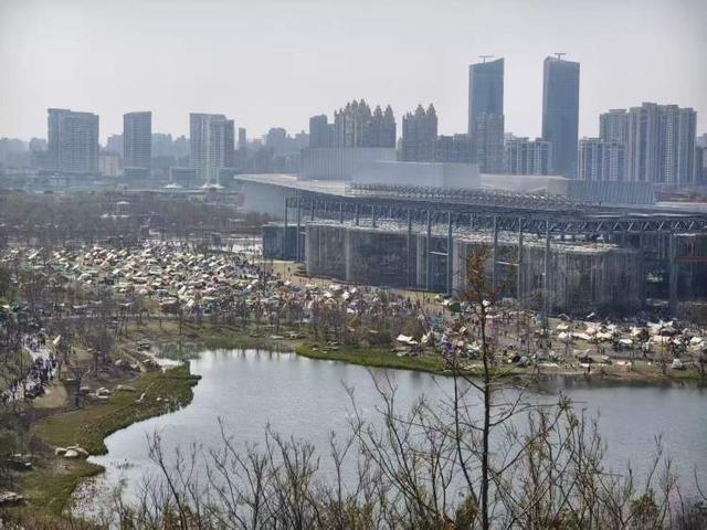 开有人想出了对策！公园草坪已鲜见天幕但争议仍存在尊龙凯时网世博文化公园禁用风绳和地钉后有人选择离(图8)